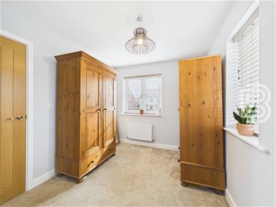 Picture 17